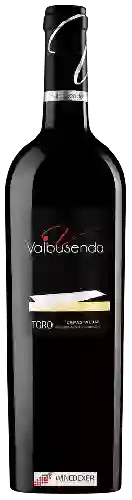 Winery Valbusenda - Cepas Viejas