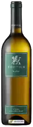 Winery Valcarlos - Fortius Blanco