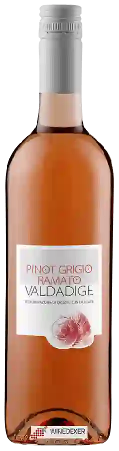 Winery Cantina Valdadige - Pinot Grigio Ramato Winery Cantina Valdadige - Pinot Grigio Ramato