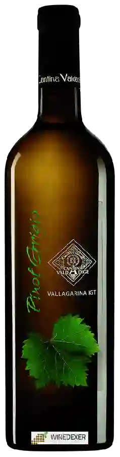 Winery Cantina Valdadige - Pinot Grigio Valdadige