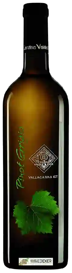 Winery Cantina Valdadige - Pinot Grigio Vallagarina Winery Cantina Valdadige - Pinot Grigio Vallagarina