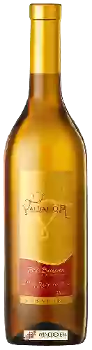 Winery Valdamor - Albariño
