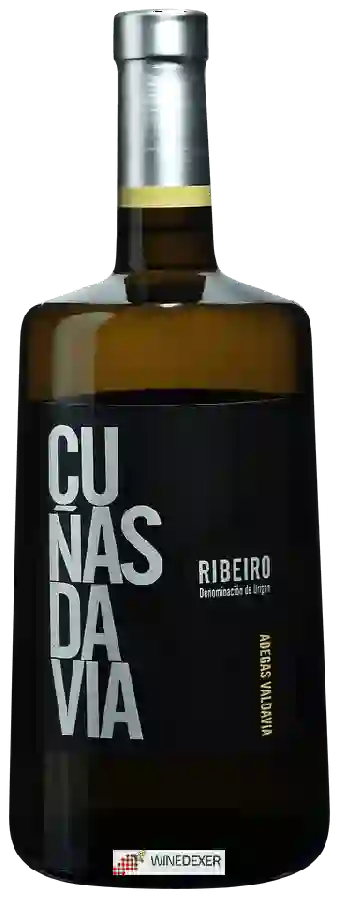 Winery Valdavia - Cuñas Davia Blanco