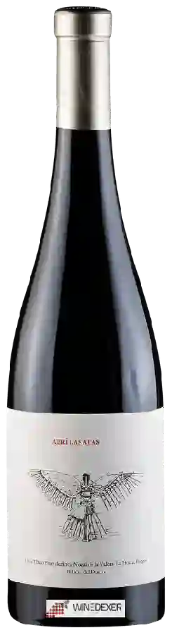 Winery Valdemonjas - Abrí Las Alas Winery Valdemonjas - Abrí Las Alas