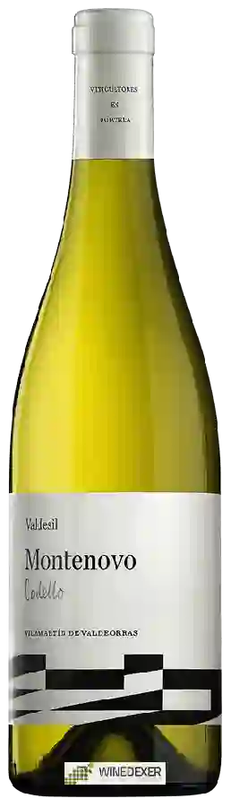 Winery Valdesil - Montenovo Godello Winery Valdesil - Montenovo Godello