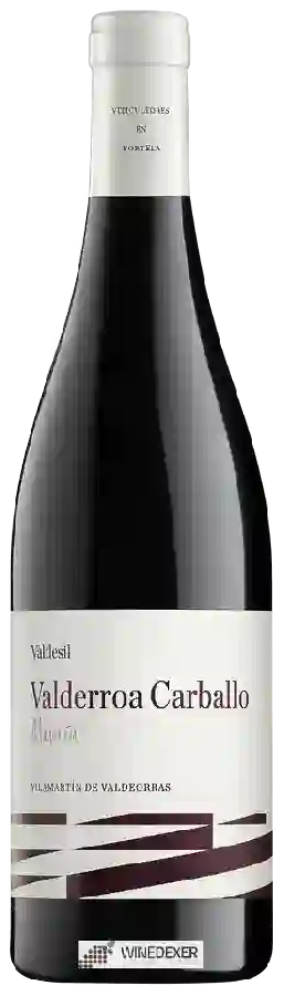 Winery Valdesil - Valderroa Carballo Mencia