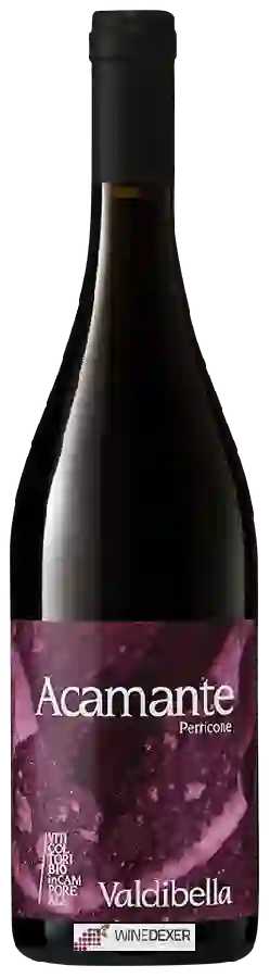 Winery Valdibella - Acamante Winery Valdibella - Acamante