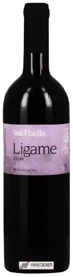 Winery Valdibella - Ligame Syrah