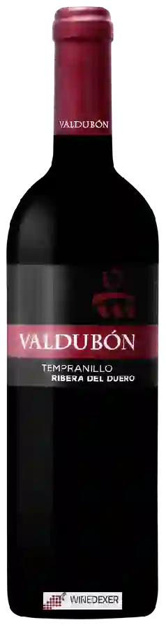 Winery Valdubon - Ribera del Duero Winery Valdubon - Ribera del Duero