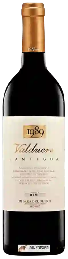 Bodegas Valduero - Lantigua 1989 Bodegas Valduero - Lantigua 1989