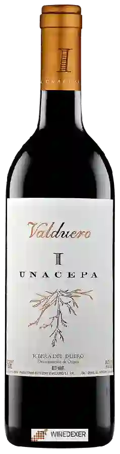 Bodegas Valduero - Ribera del Duero Una Cepa I