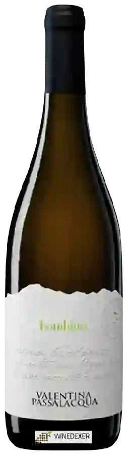 Winery Valentina Passalacqua - Bombino