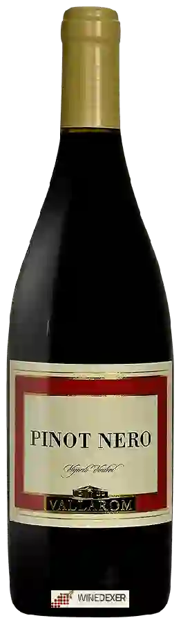 Winery Vallarom - Vigneto Ventrat Pinot Nero