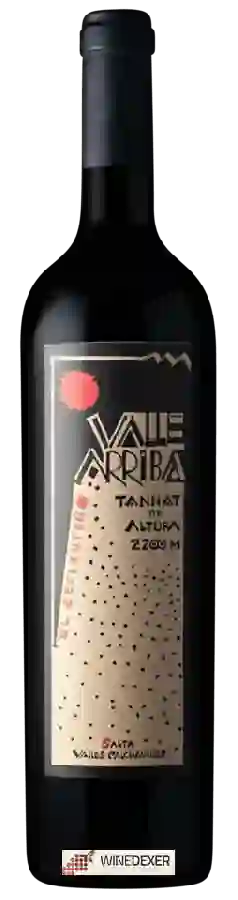 Winery Valle Arriba - El Seclanteño Tannat de Altura