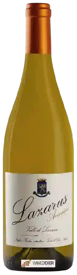 Winery Valle di Lazzaro - Lazarus Ansonica Winery Valle di Lazzaro - Lazarus Ansonica