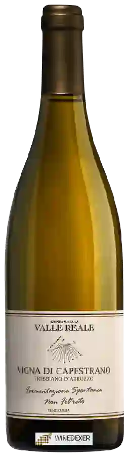 Winery Valle Reale - Vigna di Capestrano Trebbiano d’Abruzzo Winery Valle Reale - Vigna di Capestrano Trebbiano d’Abruzzo