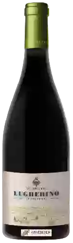 Winery Vallepicciola - Lugherino Chardonnay