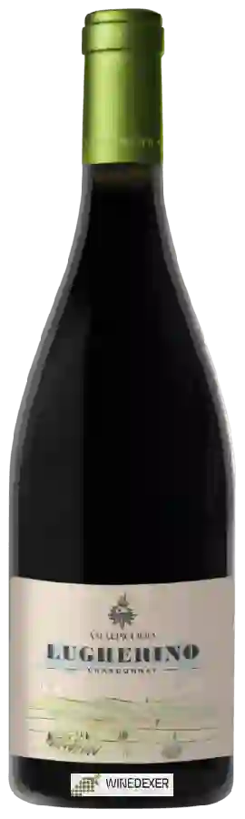 Winery Vallepicciola - Lugherino Chardonnay