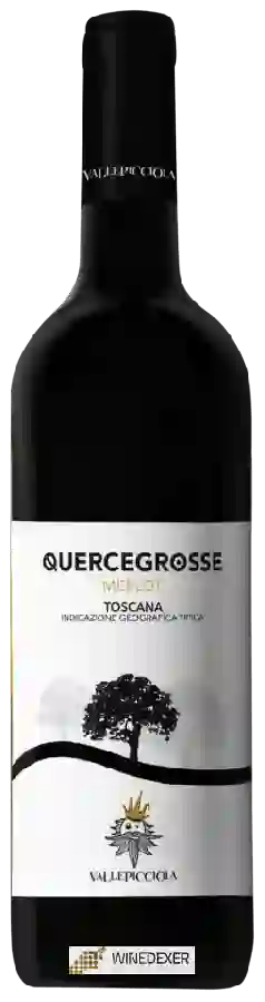 Winery Vallepicciola - Quercegrosse Merlot