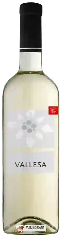 Winery Vallesa - Cuvée Blanche Winery Vallesa - Cuvée Blanche