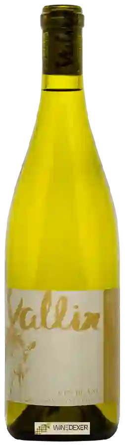 Winery Vallin - Blanc