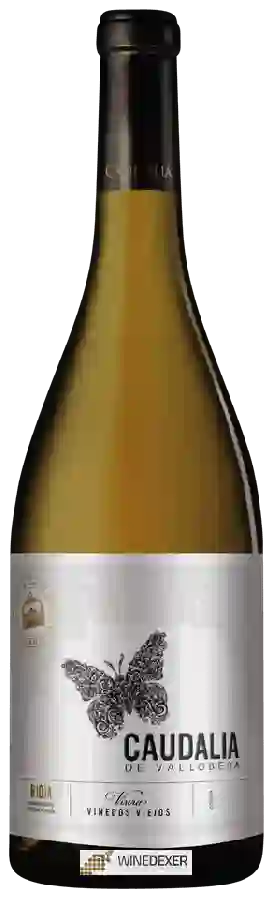 Bodegas Vallobera - Caudalia Rioja Bodegas Vallobera - Caudalia Rioja