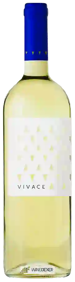 Winery Vallona - Vivace Winery Vallona - Vivace