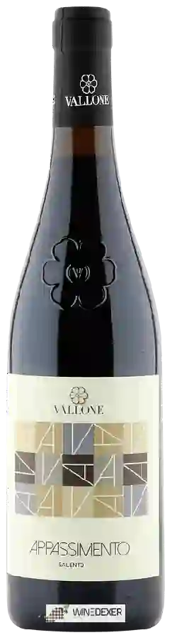 Winery Vallone - Appassimento
