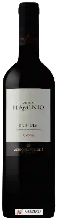 Winery Vallone - Vigna Flaminio Brindisi Riserva
