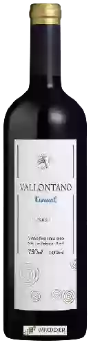 Winery Vallontano - Reserva Tannat