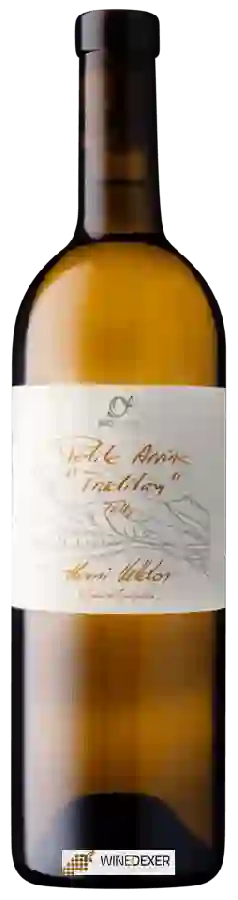 Winery Valloton Henri - Petite Arvine Tradition