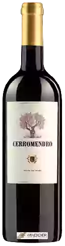 Winery Valpiculata - Cerromendro Tinta de Toro