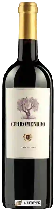 Winery Valpiculata - Cerromendro Tinta de Toro