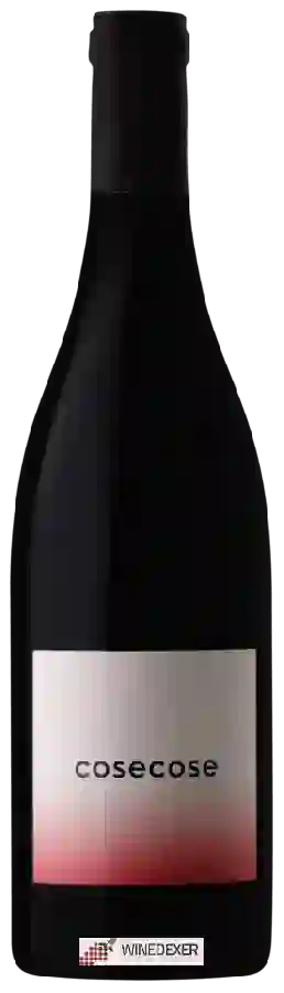 Winery Valter Mattoni - Cosecose Winery Valter Mattoni - Cosecose