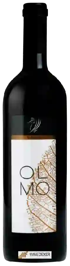 Winery Valturio - Olmo