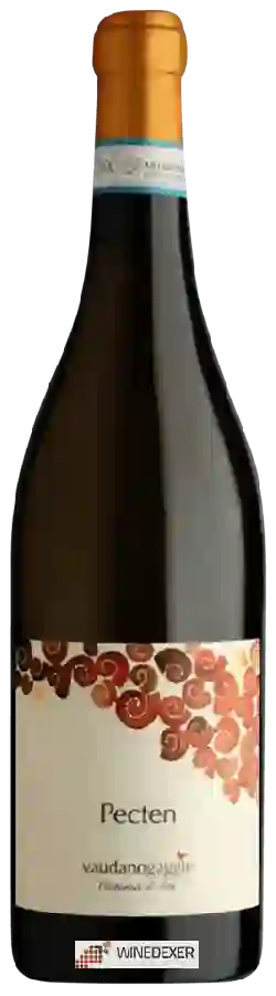 Winery Vaudano - Pecten