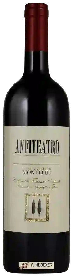 Winery Vecchie Terre di Montefili - Anfiteatro