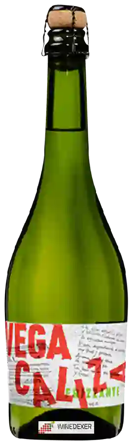 Winery Vega Caliza - Frizzante
