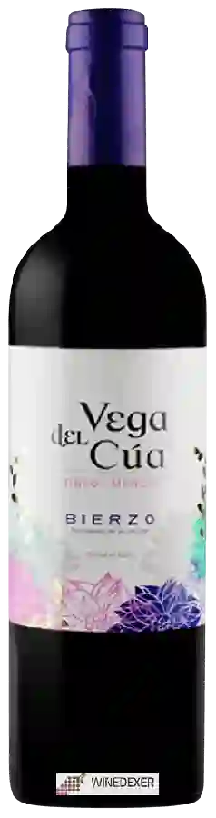 Winery Bergidenses - Vega del Cúa Mencía