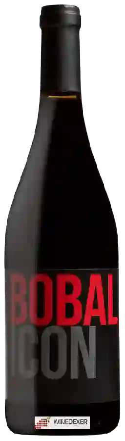 Winery Vega Tolosa - Bobal Icon Red