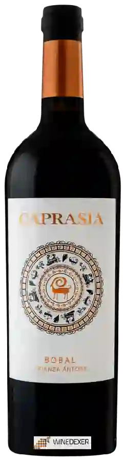 Winery Vegalfaro - Caprasia Bobal Crianza Ánfora