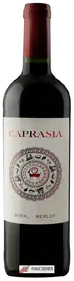 Winery Vegalfaro - Caprasia Roble