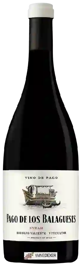 Winery Vegalfaro - Pago de los Balagueses Syrah