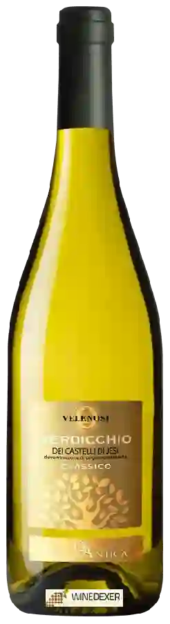 Winery Velenosi - Querciantica Verdicchio dei Castelli di Jesi Classico