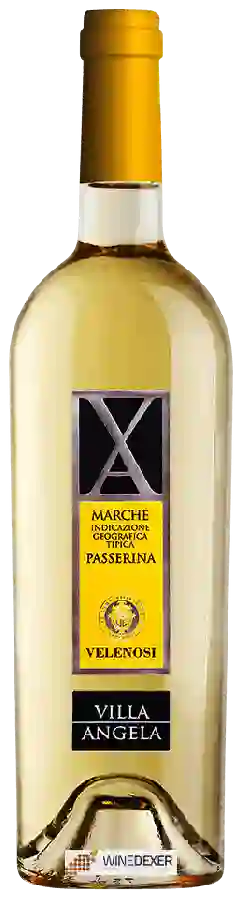 Winery Velenosi - Villa Angela Passerina Marche