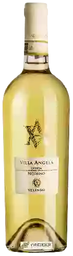 Winery Velenosi - Villa Angela Pecorino Offida