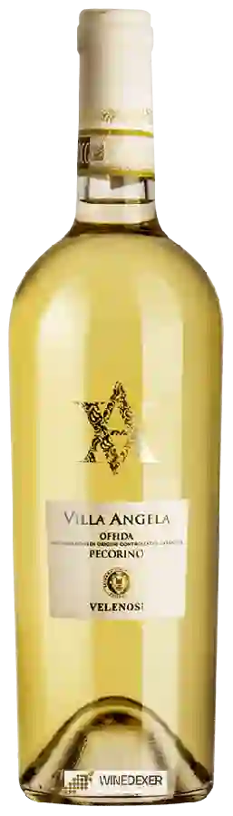 Winery Velenosi - Villa Angela Pecorino Offida