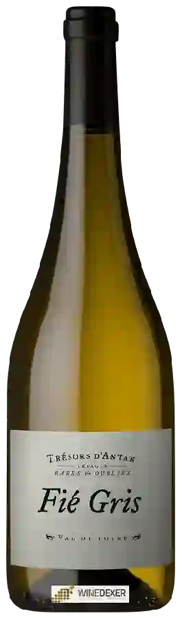 Cave du Vendômois - Trésors d'Antan Fié Gris