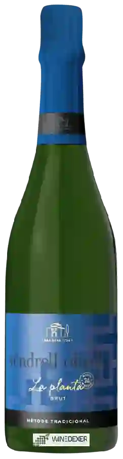 Winery Vendrell Olivella - La Planta Brut
