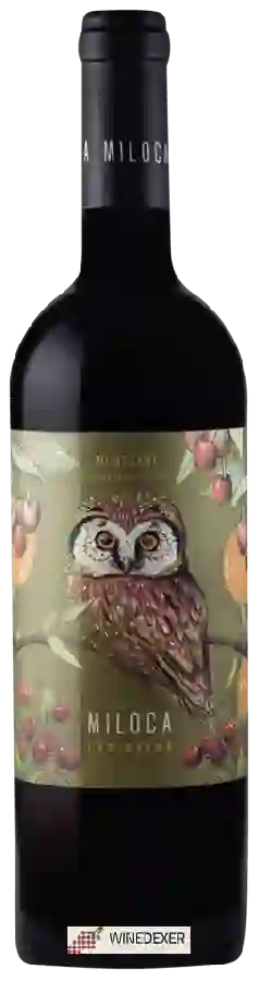 Winery Vendrell Rived - Miloca Carinyena